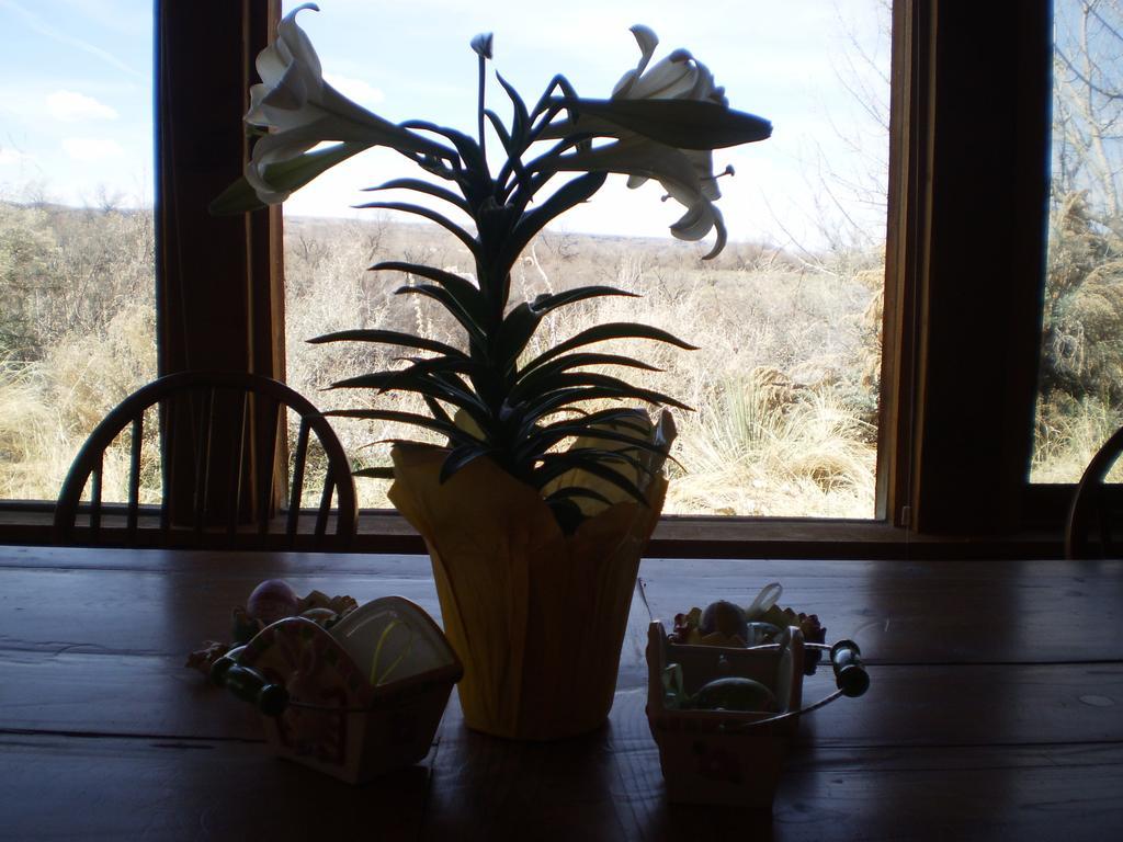 פרמינגטון Silver River Adobe Inn Bed And Breakfast מראה חיצוני תמונה